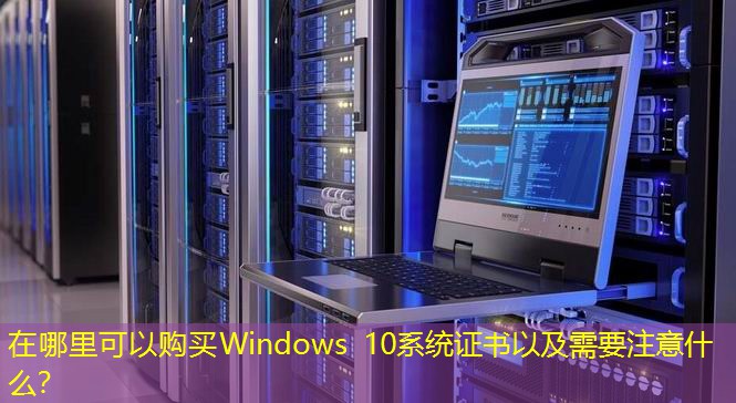 在哪里可以購(gòu)買Windows 10系統(tǒng)證書(shū)以及需要注意什么？