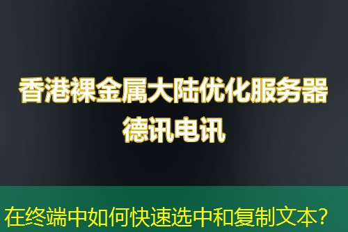 在終端中如何快速選中和復(fù)制文本？