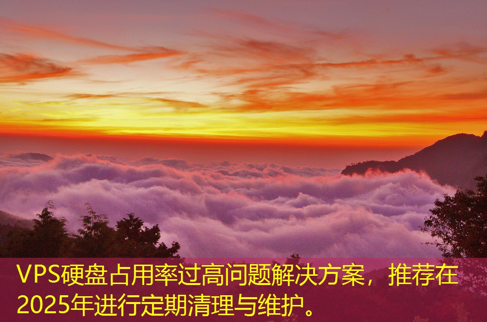 VPS硬盤占用率過(guò)高問(wèn)題解決方案，推薦在2025年進(jìn)行定期清理與維護(hù)。