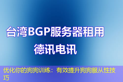 優(yōu)化你的狗狗訓練：有效提升狗狗服從性技巧