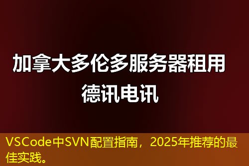 VSCode中SVN配置指南，2025年推薦的最佳實(shí)踐。