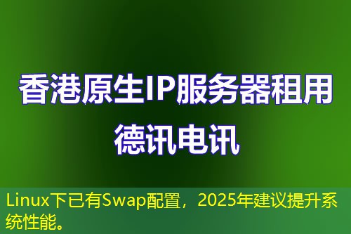 Linux下已有Swap配置，2025年建議提升系統(tǒng)性能。