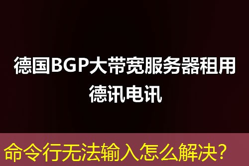 命令行無法輸入怎么解決？