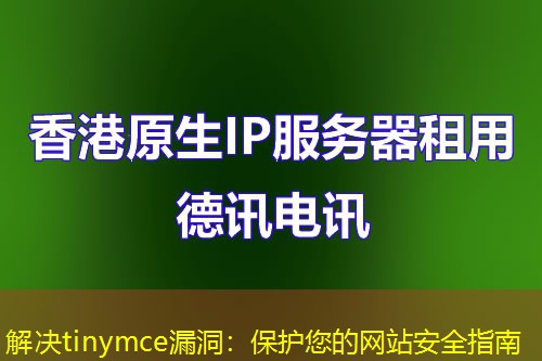 解決tinymce漏洞：保護(hù)您的網(wǎng)站安全指南