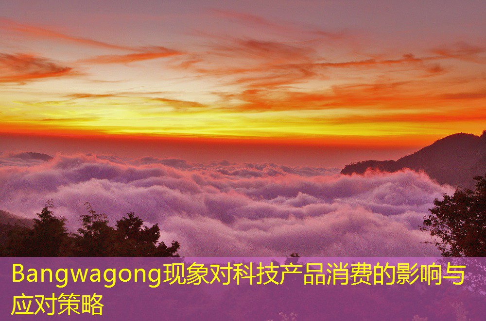 Bangwagong現(xiàn)象對(duì)科技產(chǎn)品消費(fèi)的影響與應(yīng)對(duì)策略