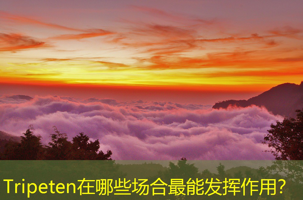 Tripeten在哪些場(chǎng)合最能發(fā)揮作用？