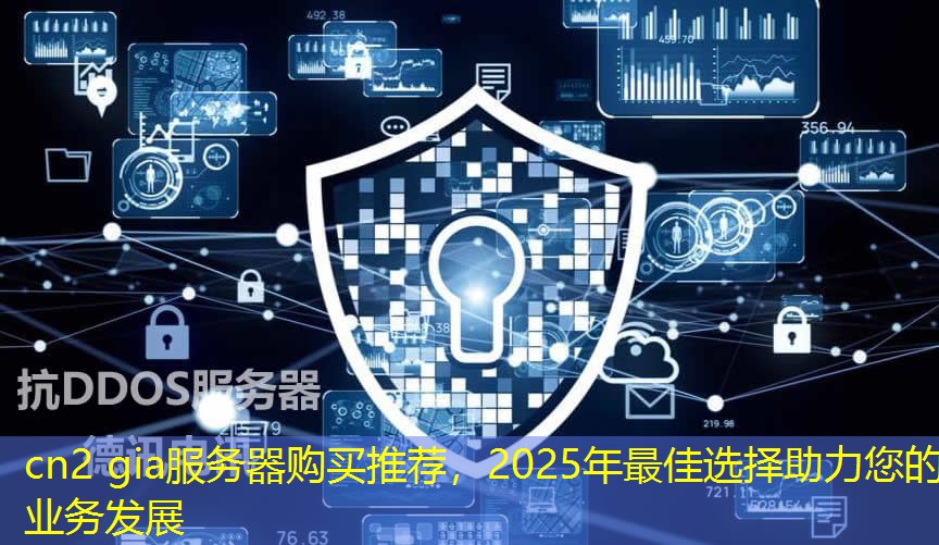 cn2 gia服務(wù)器購(gòu)買推薦，2025年最佳選擇助力您的業(yè)務(wù)發(fā)展
