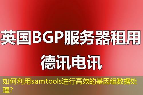 如何利用samtools進行高效的基因組數(shù)據(jù)處理？